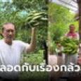 วงในมาเอง 