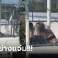 คู่รักใจกล้า ขโมยซีนวิวชิงช้าสวรรค์ จู่ๆ สาวก้มลงต่ำหน้าตักหนุ่ม สงสัยกำลังกินบวบ?