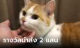 เจอแล้ว 