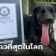 เปิดภาพ 