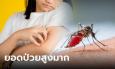 รบ.เตือนไข้เลือดออก ระบาดสูงสุดรอบ 3 ปี ครึ่งปีป่วยแล้วเกือบ 2 หมื่นราย แนวโน้วสูงขึ้นอีก