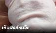 ปรากฏตัวก่อนหวยออก เก็บเห็ดเจออึ่งเผือกโชว์เลขเด็ด แบ่งโชค 3 ตัวชัดๆ ไม่รวยคนเดียว