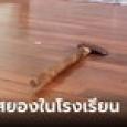 สุดช็อก นักเรียนอายุ 16 เอาขวานฟันหัวนักเรียนอายุ 14 สยองกลางโรงอาหาร