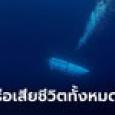 โอเชียนเกต แถลงยืนยัน 5 ลูกเรือไททันเสียชีวิตทั้งหมด