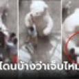 อึ้งเลยดิ! เด็กรุมเตะมาสคอต ห้าวด่องกระโดดตบหัว สุดท้ายเจอ 