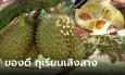 หวาน มัน เนื้อละมุน! แห่ชิมทุเรียนเสิงสางคึกคักยอดขายวันละ 1 ตัน