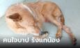 คนบาปหนา ตัดจู๋หมา รังแกสัตว์! ชาวบ้านสุดทนคนใจบาปรังแกสัตว์ พาน้องไปรักษา