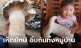 แม่เจ้าโว้ย! ชาวบ้านตื่นเห็ดยักษ์ ใหญ่เท่าตัวเด็ก อิ่มกันทั้งหมู่บ้าน