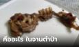 หมออั้มเฉลยให้แล้ว! วัตถุดิบหน้าตาสยอง ในจานตำป่า ที่แท้คืออะไร