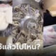 เฉลยปริศนา โรงแรมนำสบู่ที่ใช้แล้วไปทำอะไรต่อ ชาวเน็ตถึงกับช็อก ลั่นไม่รู้ดีกว่า
