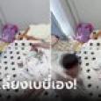 (คลิป) น้องงอแงกลัวฟ้าผ่า พี่สะดุ้งตื่นร้องจ๊าก แม่ยังนอนไม่ไหวติง พี่ต้องมาโอ๋เอ๋กล่อมนอ