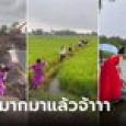 ทีมเจ้าบ่าวสู้มาก แห่ขันหมากฝ่าทุกด่าน ปีนทุ่ง-ลุยโคลน-กระโจนน้ำ ถึงบ้านเจ้าสาวเหนื่อยแฮ