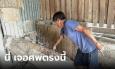 ชายหลอน เจอศพใกล้กองไม้ กู้ภัยฯ งงมีแต่จอมปลวก แถมโดนบ่นมาช้า ปลวกกินศพหมดแล้ว