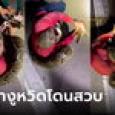 หนุ่มจับงูหลามพม่ายาวสุดในโลก 5.79 เมตร เผยนาทีระทึกล้มแล้วโดนรัด สู้กันสุดชีวิต