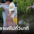 ขอคารวะ! เด็กหย่อนเบ็ดของเล่นลงน้ำ กระตุกทีเดียวได้ปลาตัวเบิ้ม เซียนดูยังอึ้งทำได้ไง?