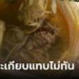 สาวสั่งก๋วยเตี๋ยววุ้นเส้นผ่านแอปฯ เจอสิ่งที่ปรากฏในชามแทบอ้วก แม่ค้าไม่เห็นได้ยังไง?