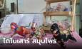 จากโครงงานสู่อาชีพสร้างรายได้ พวงกุญแจไดโนเสาร์สมุนไพร