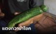 ร้านส้มตำเจอแตงกวาประหลาด คล้ายปลัดขิก เหลือเชื่อจู่ๆ ทำมาค้าขึ้น ยอดขายพุ่ง