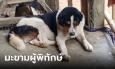 สุดซึ้ง 
