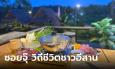เมอนา คาเฟ่ ชูแนวอีสานพอเพียง เปิดเมนูซอยจุ๊ สัมผัสบรรยากาศกลางทุ่งนาข้าว