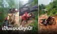 สามกิโลเดินทางเป็นชั่วโมง ชาวอมก๋อยล้มลุกคลุกคลาน ถนนบนดอยเละเป็นทะเลโคลน
