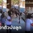 วินาทีชีวิต พ่อเอาตัวบังลูกสาวตัวน้อยจากหินถล่ม สุดเศร้า ลูกสาวต้องพิการตลอดชีวิต