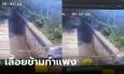 คลิปขนลุก งูเหลือมเกร็งคอเลื้อยข้ามฟาก ลุ้นตอนคนเดินลอด คอหวยไม่พลาดแห่ตีเลข