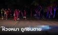 กลัวน้องหิว! หนุ่มใหญ่เอาข้าวมาให้หมาจร ถูกกระบะชนดับคาที่
