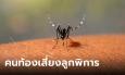 เตือนไวรัสซิการะบาดหนัก เดือนเดียวพุ่ง 266 ราย หญิงตั้งครรภ์เสี่ยงลูกพิการ ศีรษะเล็ก