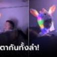 คลิปแค่ 6 วินาที แต่คนดูไป 7 ล้านวิวแล้ว ดราม่าเด็กใส่หมวกกระต่ายบนเครื่องบิน