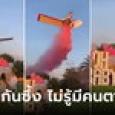 เล่นใหญ่เฉลยเพศลูก กลายเป็นโศกนาฏกรรม 
