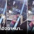 พ่อแม่ไม่โทรหานาน คิดถึงจนต้องเปิดกล้องดูที่บ้าน ดันเจอช็อตพีก กลายเป็นอิจฉาหมา