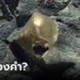 มันคืออะไร? พบวัตถุสีทองลึกลับใกล้ภูเขาไฟใต้น้ำ นักวิทยาศาสตร์ยังแอบผวา