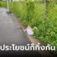 ใจร้ายมาก แฟนเก่าใครถูกทิ้งข้างถนน สภาพสุดน่าเวทนา มือและขาเป็นรอยม่วงช้ำ