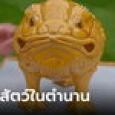 เมียไม่ชอบใจ แม่สามีให้คางคกอัปลักษณ์ แต่ผู้รู้บอกเป็นของมงคล ฟังจบชอบขึ้นมาทันที