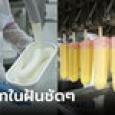 บ.ไอศกรีม ให้ลูกจ้างหยุดงาน 5 เดือน แบบไม่หักเงิน รู้เหตุผลคนยิ่งอิจฉา แห่ถล่มกดซื้อสินค้า!