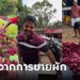 ตะลึงกันทั้งตลาด หนุ่มขับรถหรู 2.6 ล้าน มาตั้งแผงขายผักที่ตลาด รู้ว่าเป็นใครยิ่งทึ่ง