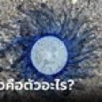 มันคืออะไร? สัตว์ทะเลลึกลับสีฟ้า เหมือนเอเลี่ยนบนพื้นทราย ล่าสุด มีเฉลยแล้ว