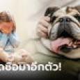 สาวยอมรับ 