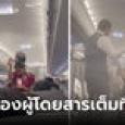 ป่วน! กองทัพยุงบุกเครื่องบิน แอร์ฯ สาวตื่นตกใจ หยิบสเปรย์ฉีดฟุ้งทั้งลำ ทำดีเลย์ 3 ชั่วโมง