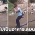 เด็ก 70 คนไต่เชือกข้ามไม่น้ำ เสี่ยงตายไปโรงเรียน รู้ว่าข้างล่างมีตัวอะไร คนดูยังกลั้นหายใ