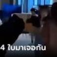 หนุ่มคบซ้อนโลก 4 ใบ โป๊ะแตกรถไฟชนกัน สาวๆ ยืนรุมประณาม ตัวต้นเหตุได้แค่โค้งขอโทษ