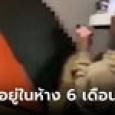 ชายแอบอยู่ในห้าง 6 เดือนไม่มีใครรู้ ชาวเน็ตเห็น 