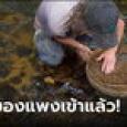 หนุ่มพบวัตถุปริศนาในลำธาร คิดว่าเป็นแก้วเก่าๆ แต่กลายเป็น 