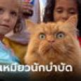 เหมียวนักบำบัด! น้องแมว 3 ตัวช่วยเยียวยาใจเด็กๆ ในกาซา ระหว่างสงครามอิสราเอล-ฮามาส