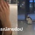 สาวสติหลุด นั่งร้องไห้กลางสนามบิน ตกเครื่องเพราะโปร 11.11 ทั้งที่มาก่อนเวลา