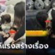 พนง.หนุ่มเนื้อหอม 2 สาวงามหมายตา ล็อกตัวถาม 